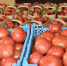 Фермерам Кубани помогут реализовать сельхозпродукцию - Администрация Славянского района