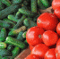 Фермерам Кубани помогут реализовать сельхозпродукцию - Газета Заря Кубани
