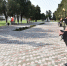 Жители меняют облик парка - Администрация Славянского района