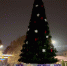 На Театральной площади Славянска-на-Кубани установили новогоднюю ёлку 🎄 - Slavyansk.Today