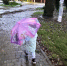 🌧Не забывайте сегодня зонты: синоптики прогнозируют неустойчивую погоду с обильными осадками. - Газета Заря Кубани