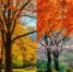 Осенью состоится XI Международная просветительская акция Русского географического общества «Географический диктант». - Газета Заря Кубани